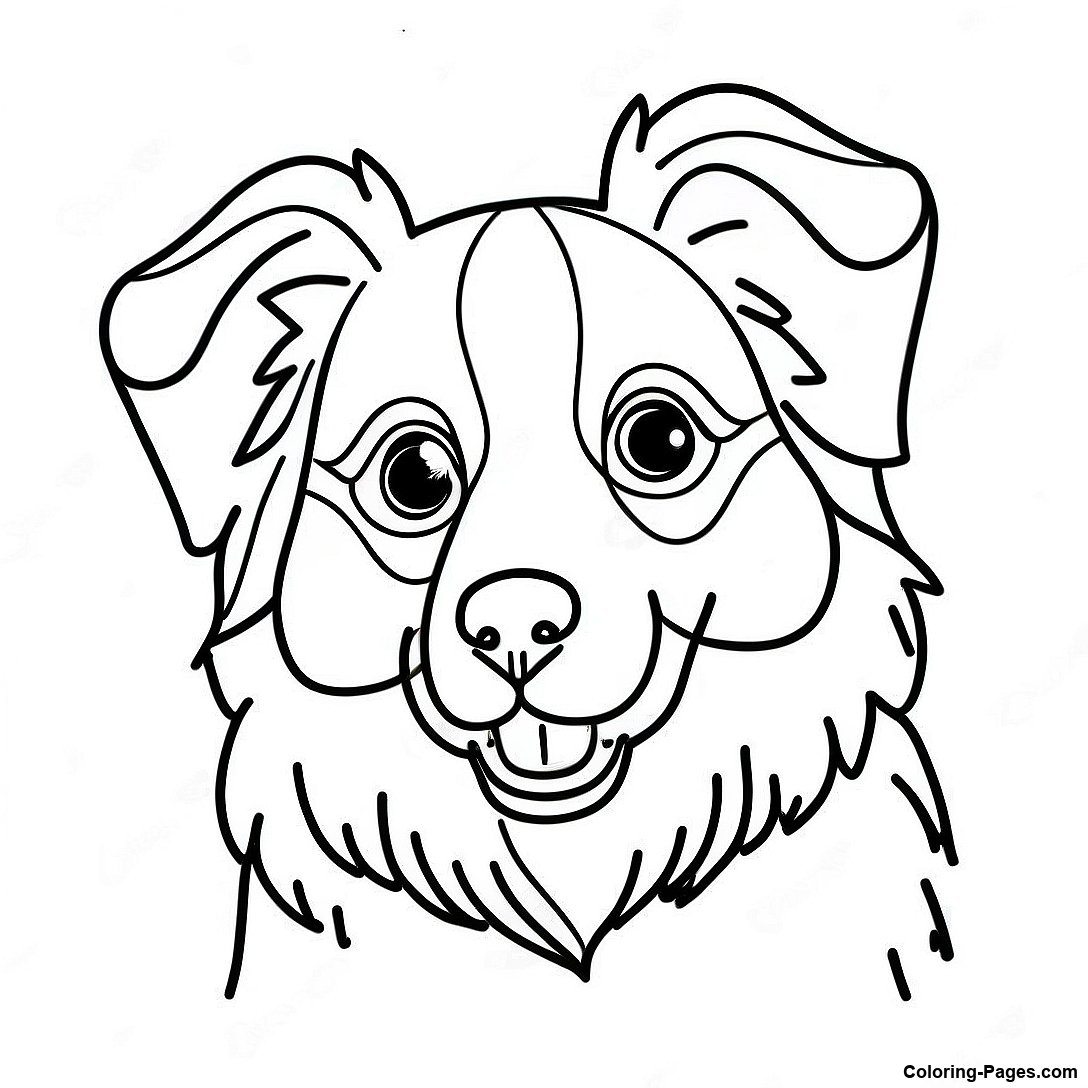 Australian Shepherd Coloring Page - Australian Shepherd Coloring Page 110881 47336 