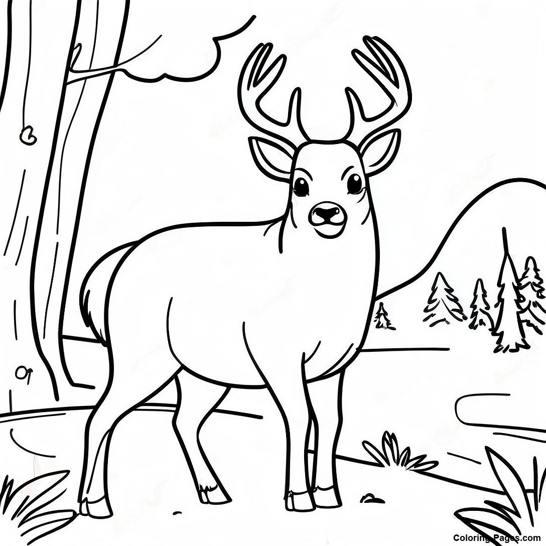 Realistic Buck Deer Coloring Page | Coloring-Pages.com