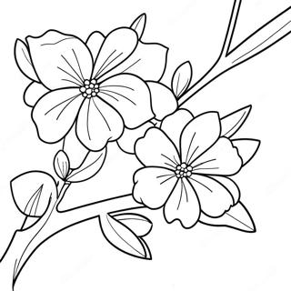 Sakura Coloring Pages