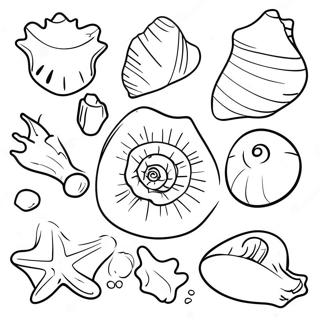 Seashell Collection On The Beach Coloring Page 101191-39619