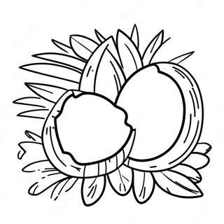 Coconut Coloring Page 101625-40056