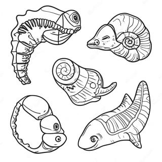 Fossil Coloring Pages