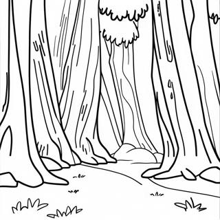 California Redwood Forest Coloring Page 102684 40884