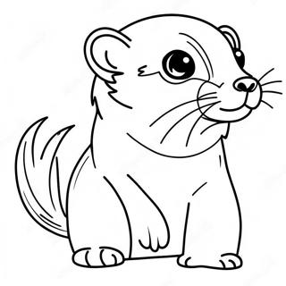 Ferret Coloring Pages