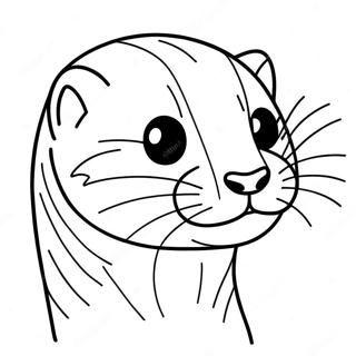 Ferret Coloring Page 103145-41235