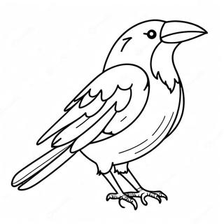 Ravens Coloring Pages