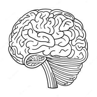 Colorful Adhd Brain Coloring Page 106361-43752