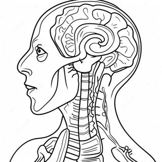 Anatomy And Physiology Coloring Pages