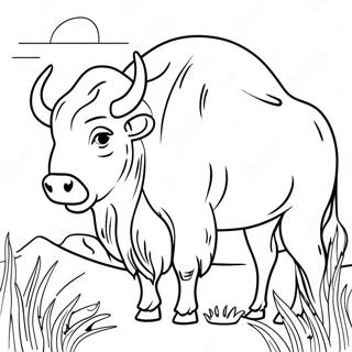 Buffalo Coloring Pages