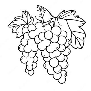 Grape Coloring Pages