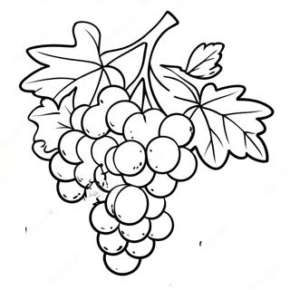 Bunch Of Grapes Coloring Page 107795 44877