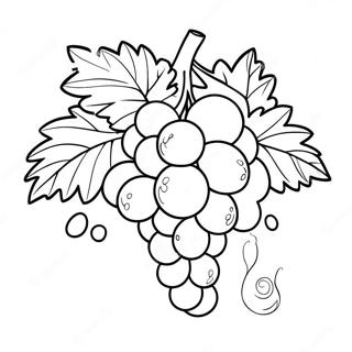 Bunch Of Grapes Coloring Page 107795 44880