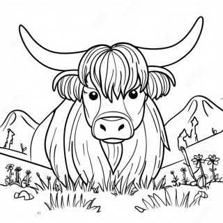 Highland Cow Coloring Pages