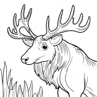 Elk Coloring Pages