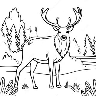 Elk Coloring Page 110855-47314