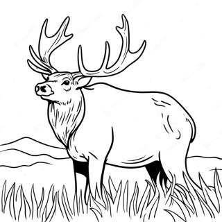 Elk Coloring Page 110855-47315