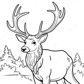 Elk Coloring Page 110855-47316