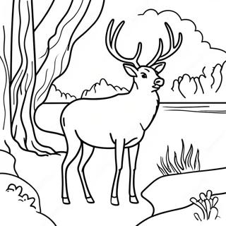 Elk Grazing By The River Coloring Page 110859 47329