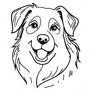 Australian Shepherd Coloring Page 110881-47333