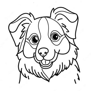 Australian Shepherd Coloring Page 110881-47336