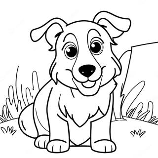 Playful Australian Shepherd Coloring Page 110882-47337