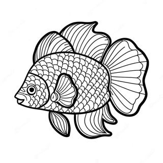 Beta Fish Coloring Pages