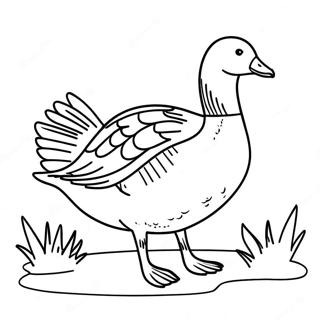 Goose Coloring Page 113011-49138