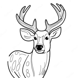 Buck Coloring Page 115095-50759