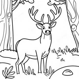 Majestic Buck In The Forest Coloring Page 115096-50761