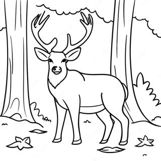 Majestic Buck In The Forest Coloring Page 115096-50762