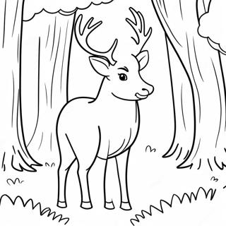 Majestic Buck In The Forest Coloring Page 115096-50763