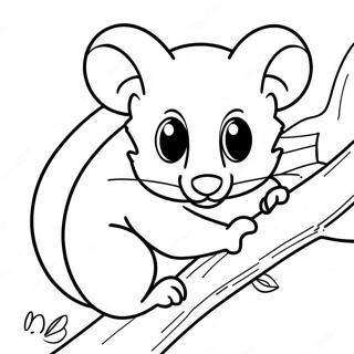 Possum Coloring Pages