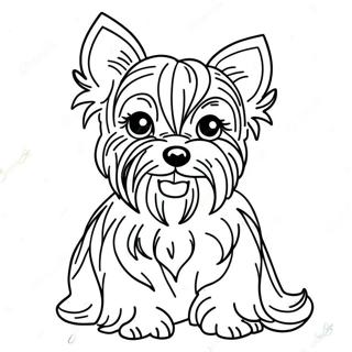 Realistic Yorkie Coloring Pages