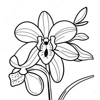 Beautiful Orchid Flower Coloring Page 120554-55269