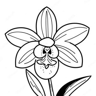 Beautiful Orchid Flower Coloring Page 120554-55271