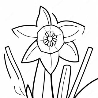 Daffodil Coloring Pages