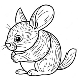 Chinchilla Coloring Page 123943-58130