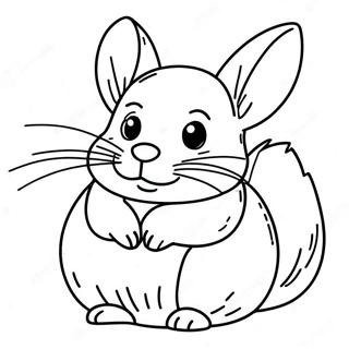 Chinchilla Coloring Page 123943-58131