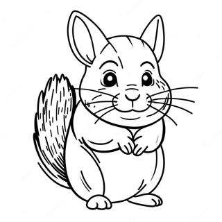 Chinchilla Coloring Page 123943-58132