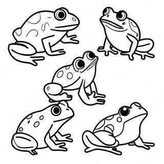 Colorful Life Cycle Of A Frog Coloring Page 125875-59727