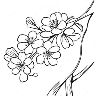 Beautiful Cherry Blossom Branch Coloring Page 127114-60687