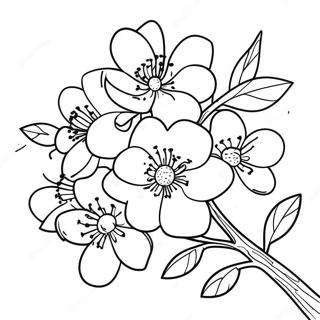Beautiful Cherry Blossom Branch Coloring Page 127114-60688