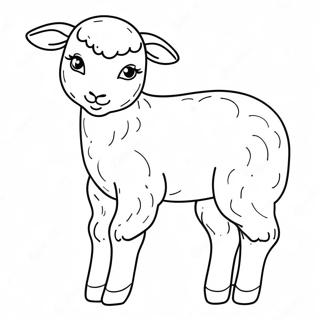 Lamb Coloring Page 127526-61002