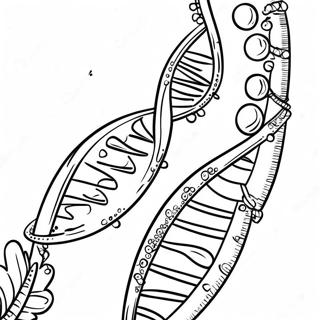 Colorful Dna Strand Coloring Page 129944-63019