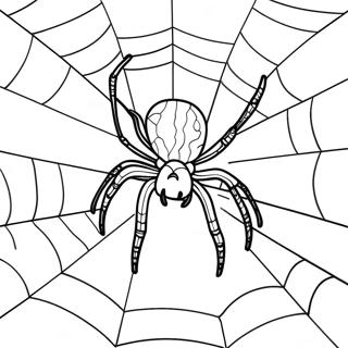Giant Spider Web Coloring Page 130356-63348
