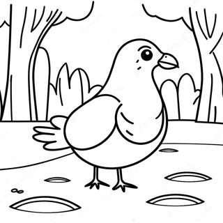 Curious Pigeon Exploring A Park Coloring Page 130897-63768