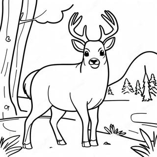 Buck Realistic Deer Coloring Pages