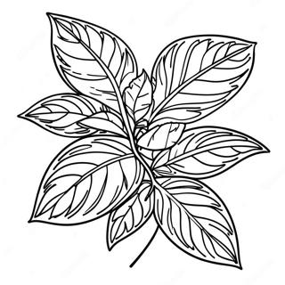 Detailed Basil Leaves Coloring Page 134495 66555