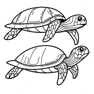 Colorful Sea Turtle Coloring Page 137439-68994