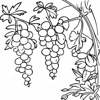 Vine Coloring Pages